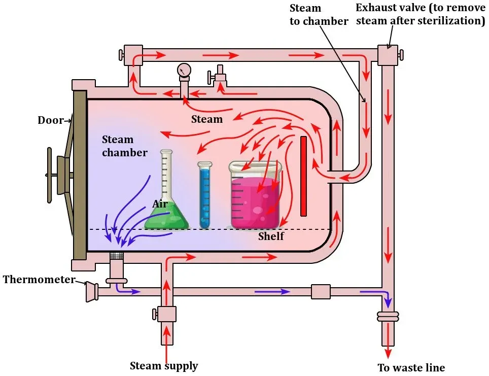 ¿Cómo funciona un autoclave de vapor?